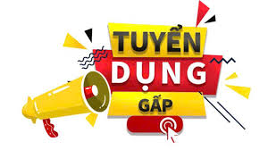 lĩnh vực hoạt động